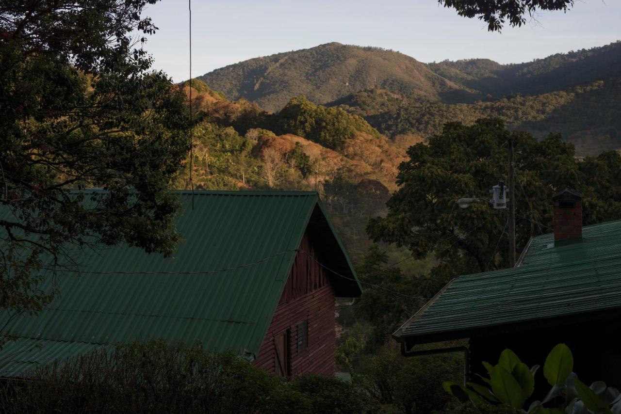 Cedrela Eco-Lodge & Restaurante Copey Dış mekan fotoğraf