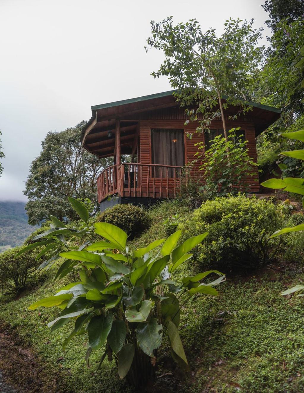 Cedrela Eco-Lodge & Restaurante Copey Dış mekan fotoğraf