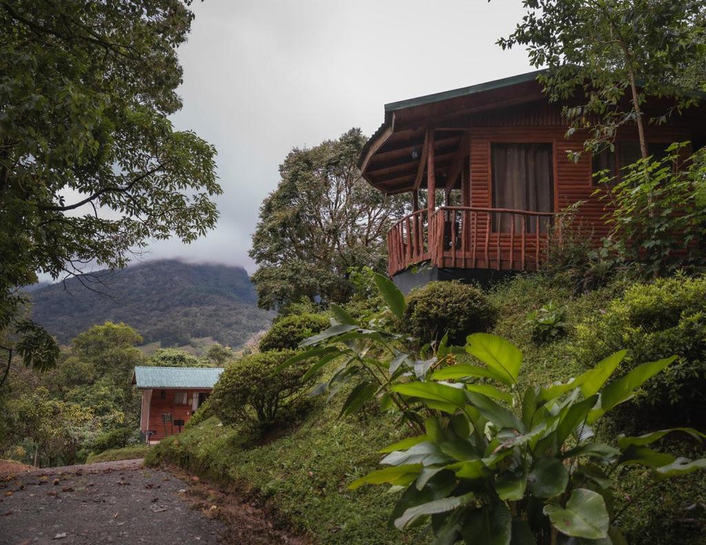 Cedrela Eco-Lodge & Restaurante Copey Dış mekan fotoğraf