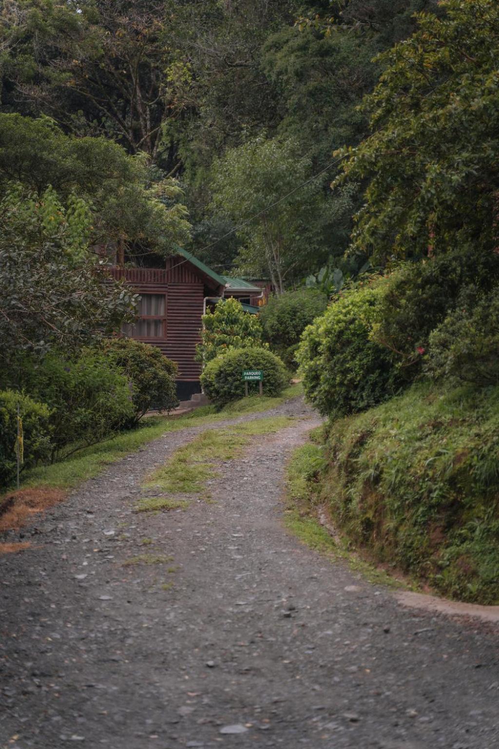 Cedrela Eco-Lodge & Restaurante Copey Dış mekan fotoğraf