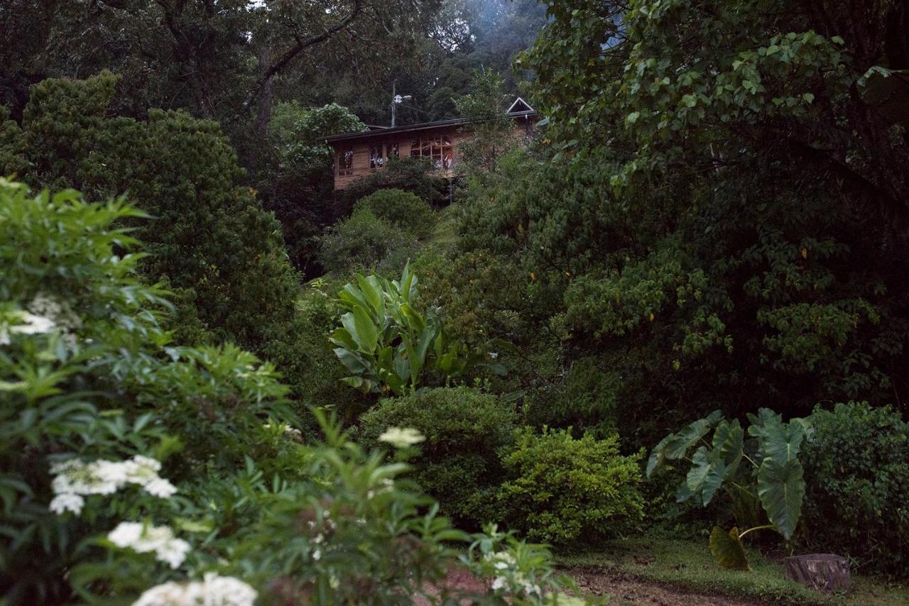 Cedrela Eco-Lodge & Restaurante Copey Dış mekan fotoğraf